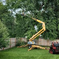 Best Aeration Services  in Blackwell, OK
