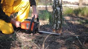 Best Weed Control  in Blackwell, OK