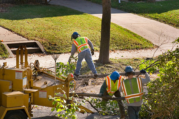 Organic Lawn Care Solutions in Blackwell, OK