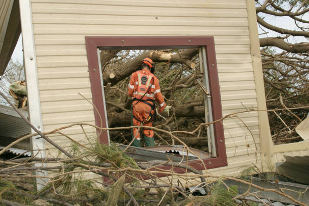Professional Tree Services in Blackwell, OK